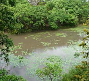 Wunderschöner Ausblick vom Restaurant