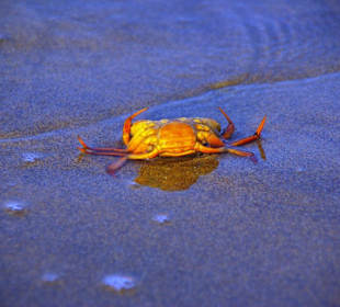 Strand in Bibione Juni 2012