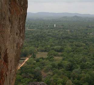 Blick auf den Dschungel