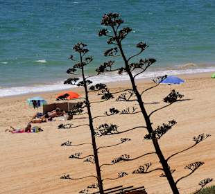 Angrenzend an Villamoura