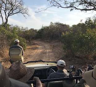 Game Drive