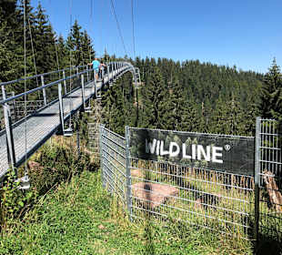 Baumwipfelpfad Schwarzwald