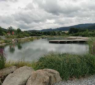Naturteich im Kurpark