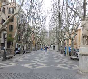 Passeig d'es Born