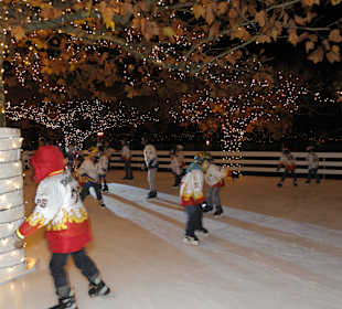 Freies Eislaufen am Zürichsee
