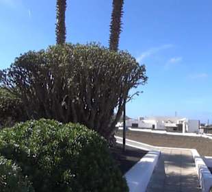 Parroquia San Francisco Javier 