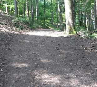 Teufelskanzelsteig Bad Griesbach