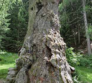 Im Ultental St Gertraud