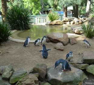 Feather Dale Wildlife Park