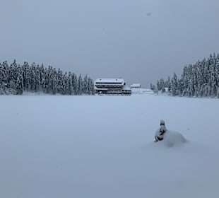 Wandern Mummelsee