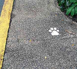 Singapur Zoo