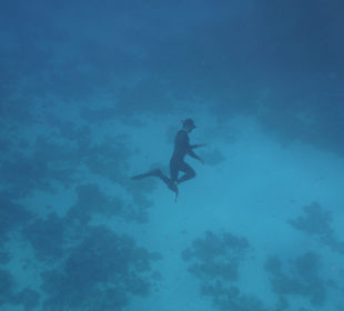 Schnorcheln Marsa Alam