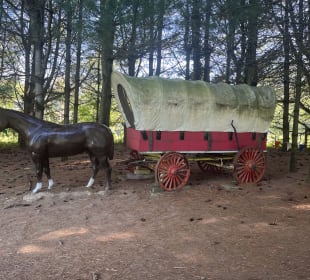 Clark's Elioak Farm