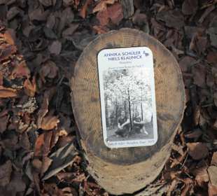Kunstpark Skulptur-Lichtung