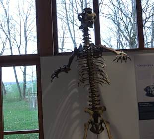 Höhlenkundliches Museum Laichingen