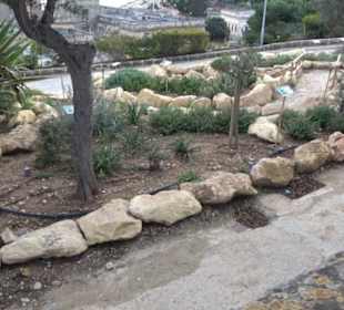 Herbert Ganado Gardens