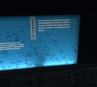 Tierpark Hellabrunn - Fische