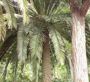 Ausflug zum Botanischen Garten