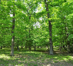 Impressionen vom Tiergarten Hannover