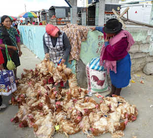 Geflügelverkauf