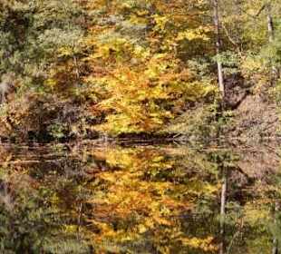 Spaziergang am Forgensee