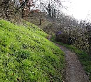 Weg