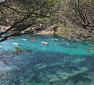 Wandern Tossa de Mar