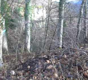 Gustav-Jakob Höhle Grabenstetten