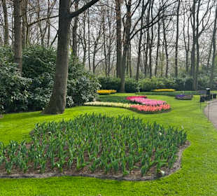 Keukenhof 