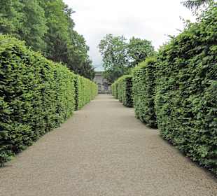 Riesige Hecken verstecken kleine Gärten