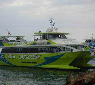 Ausflug Glasboot Sea Odyssey