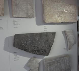 Rheinisches Landesmuseum