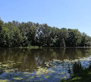 Pałac i ogród w Wilanowie