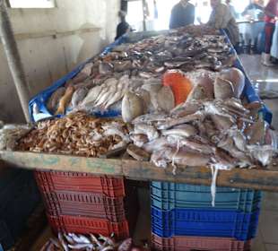 Auf dem Fischmarkt unterwegs