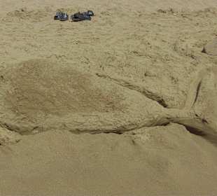 Alles Bauwerk von kleinen und großen Architekten