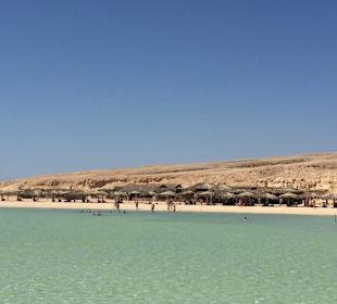 Ausflugsziel bei der Delphin Tour