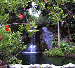 Garden of the Groves