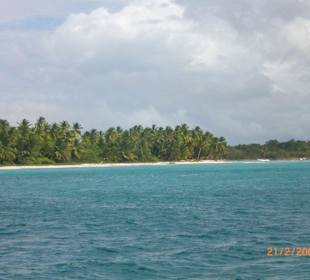 Saona