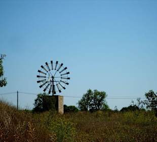 Windmühle bei Campos