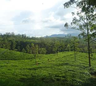 Hochland von Sri Lanka