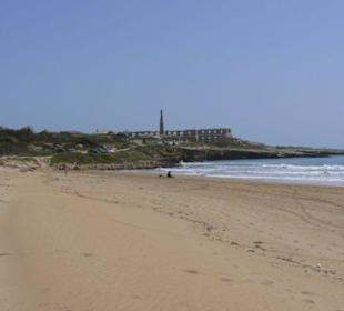 Dünen und ein toller Strand
