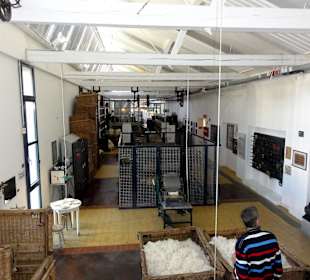 Blick in die Museumsräume