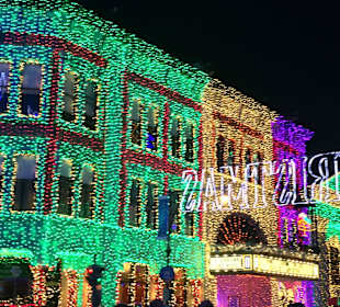 Disney , Orlando in Night