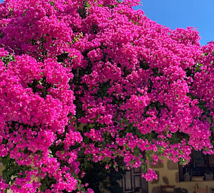 Wandern Georgioupolis