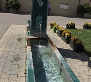 Haupt- und Landgestüt Marbach