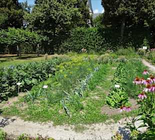 Im Küchengarten des Schlosses Veitshöchheim