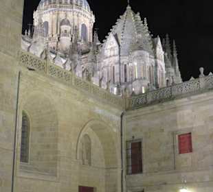Catedral Nueva