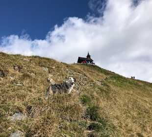 Wandern Hochpillberg