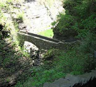 Watkins Glen
