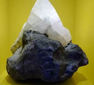 Haus Alpine Naturschau